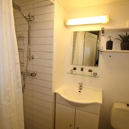 公寓 Kongensgate *